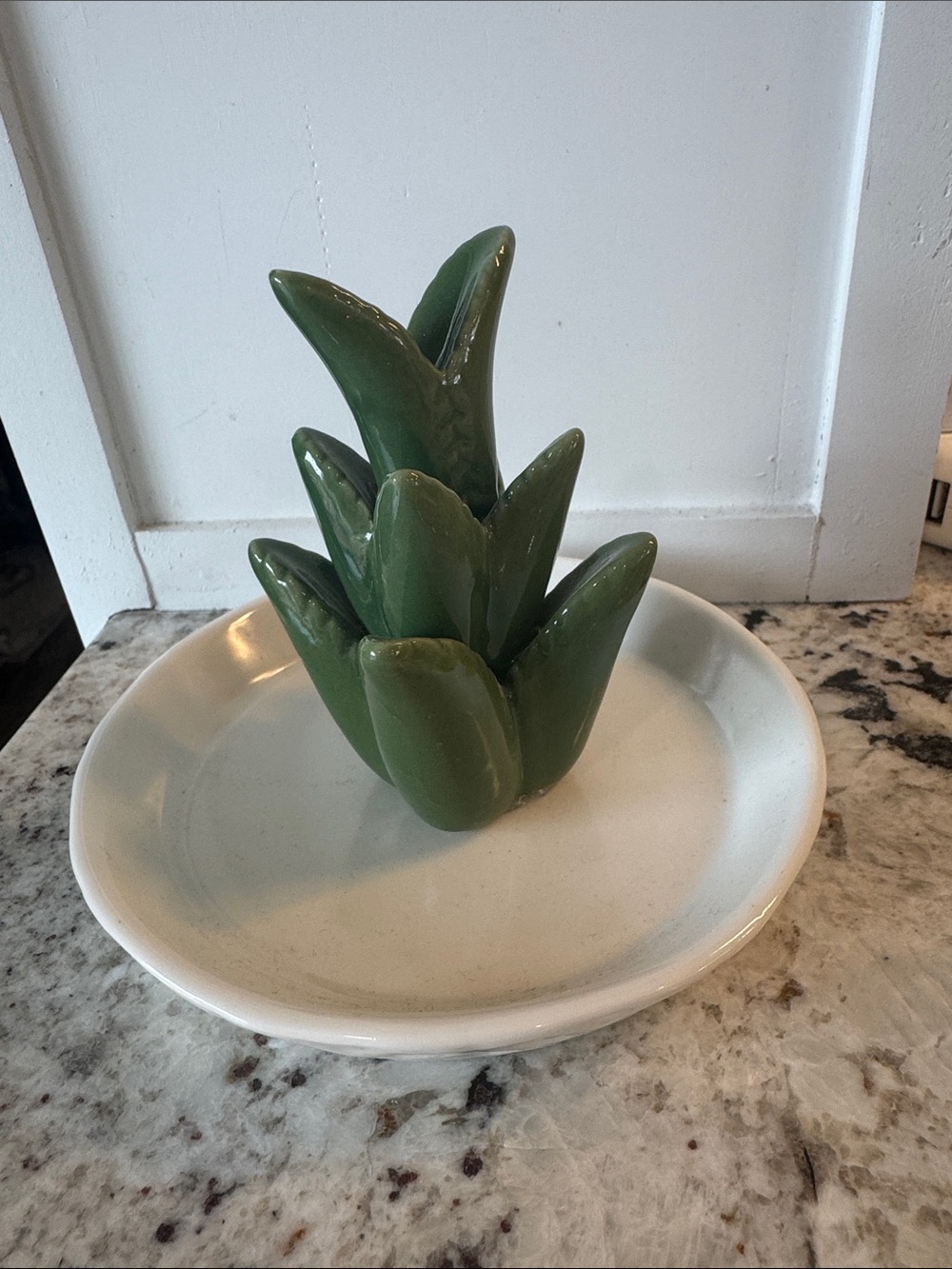 Green Ceramic Succulent Ring/Jewelry Holder
